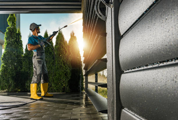 Best Roof Washing  in Conrad, MT